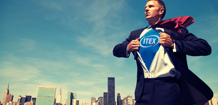 ITEX Franchise Opportunities